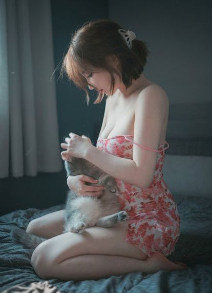 熊出没年货在线完整免费观看_免费国语